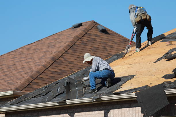 Best Skylight Installation and Repair  in Mount Vernon, KY