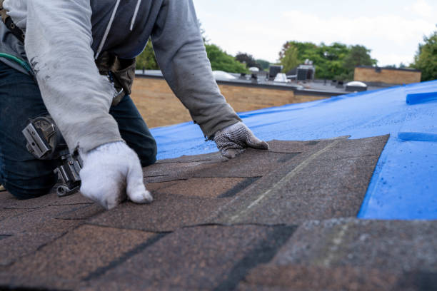 Roof Coating Services in Mount Vernon, KY